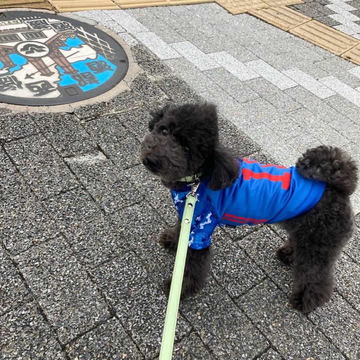 5b6f7ce9 c84f 48b0 b23c bbe6139de284 1622283997514