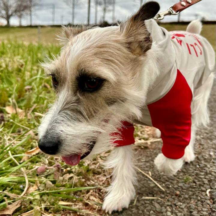 5b6f9313 8e37 40c4 9525 6041e264805a 1709240432228