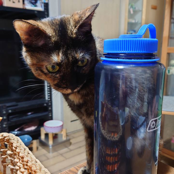 5b6facbb ed1b 4192 8744 034254846331 1732890246470