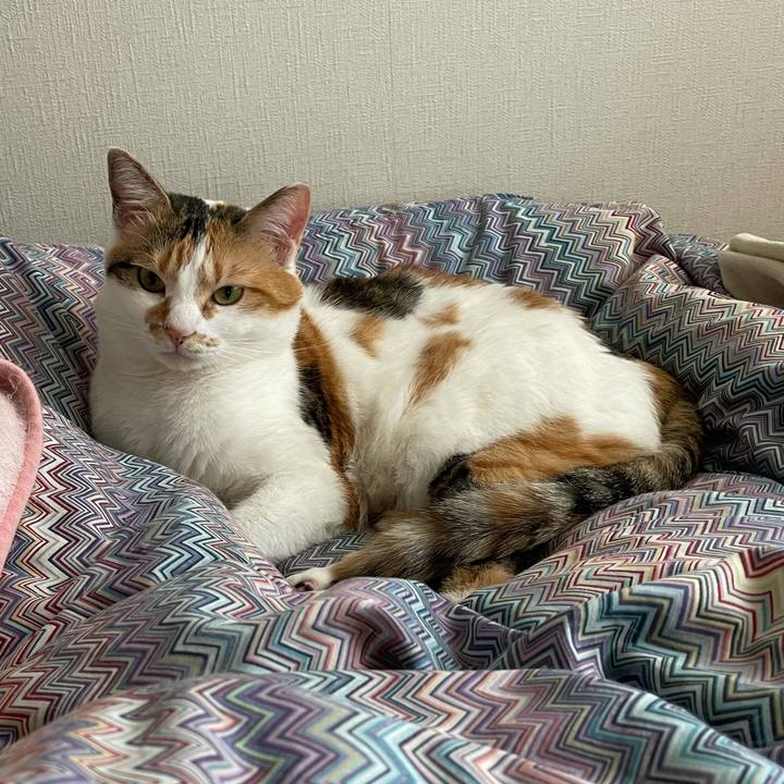 5b6fe69a fa83 4921 84aa 8a0e6caa62c7 1620617307089