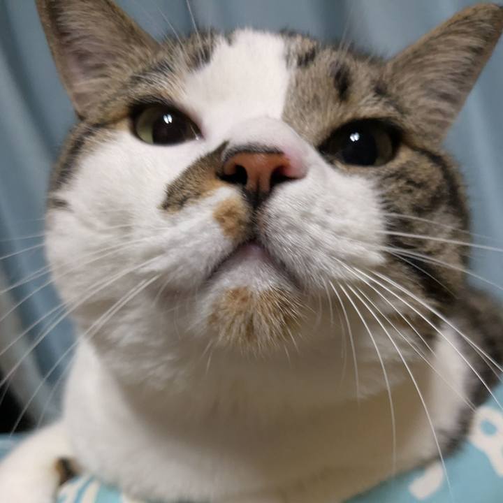 5b6ff867 b2b7 49a5 942e 2d8f4662b9da 1752331337724