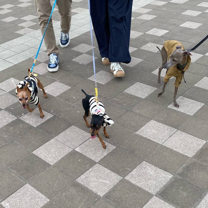 5b700fa0 abe5 435c b0a1 03f7190ece43 1759532922441