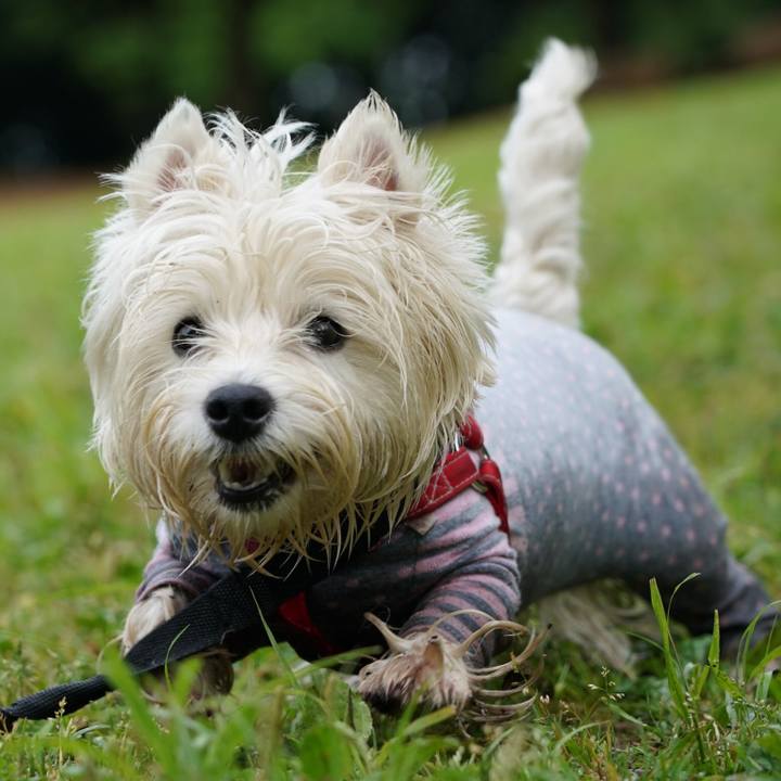 5b701484 4b22 4089 8ff5 c2bd9da2d9c4 1527252573058