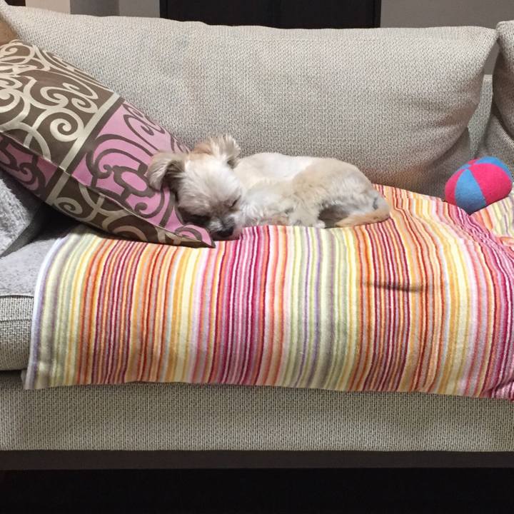 5b70627e e1fe 4d2e ab8a d2e5d123aeaa 1544189432646