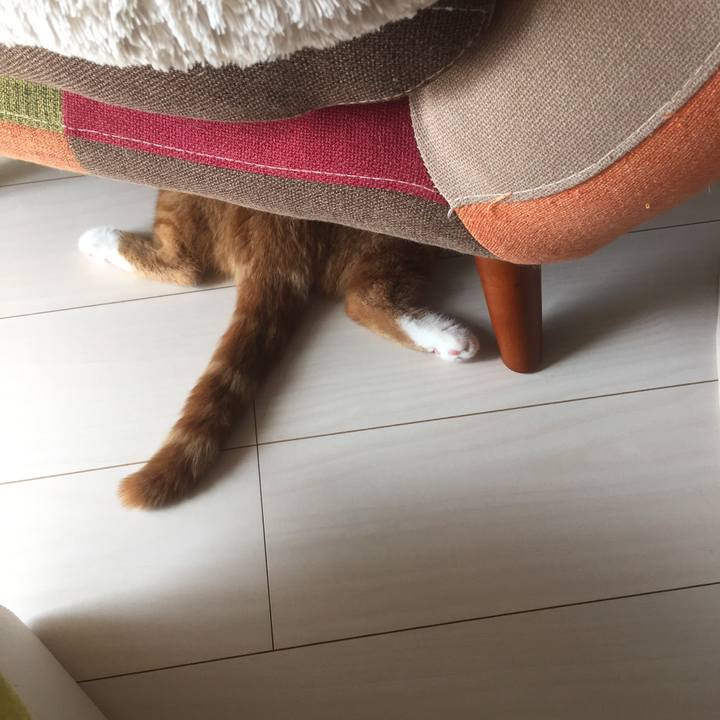 5b707010 7cfa 43d8 9a5e 00760cfa9e08 1601692530554