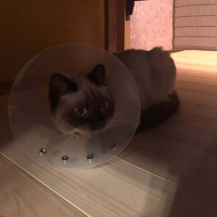 5b707814 2ed7 467a a2dd 61dd77332a19 1599440085933