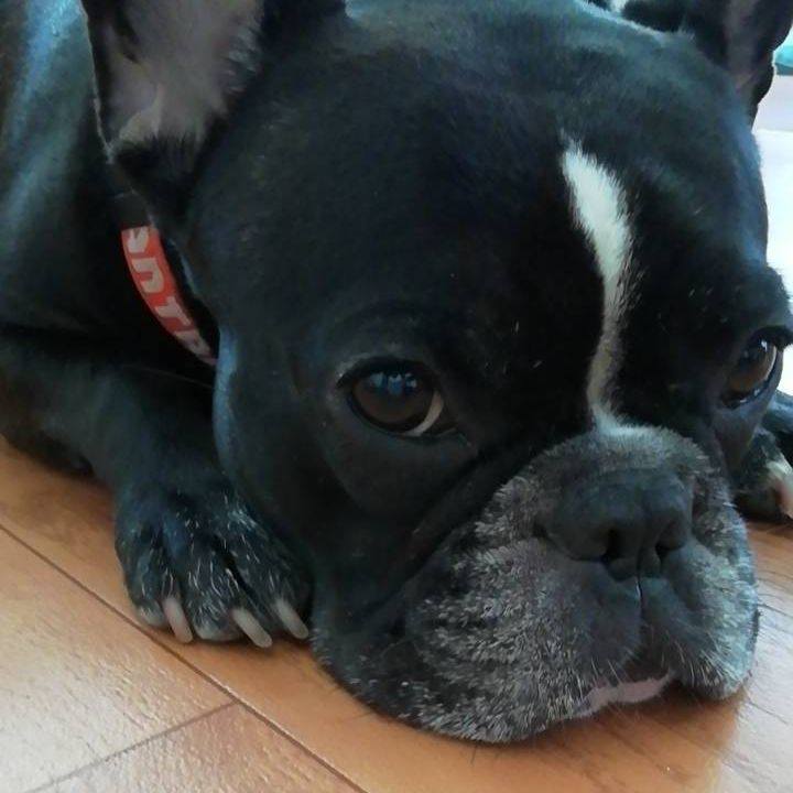 5b7095f2 57ef 4ac2 abc3 06e46e9287d2 1535155848737