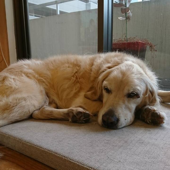 5b70b16e b9b3 4ed9 bd09 554833d4815f 1548030764879