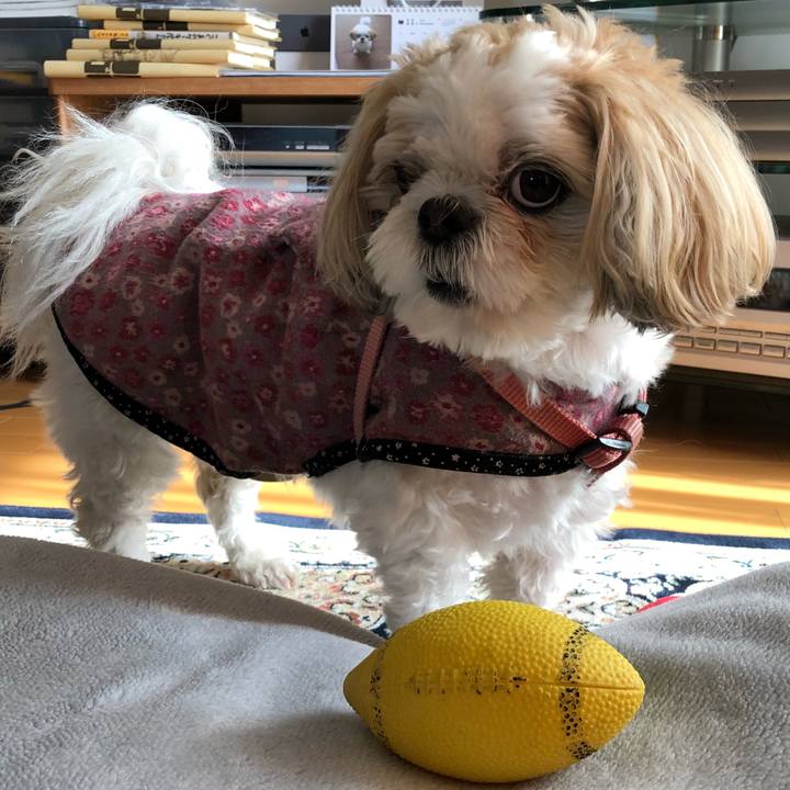 5b70c398 d89e 4545 b8e7 91ffa6be5868 1542664011054