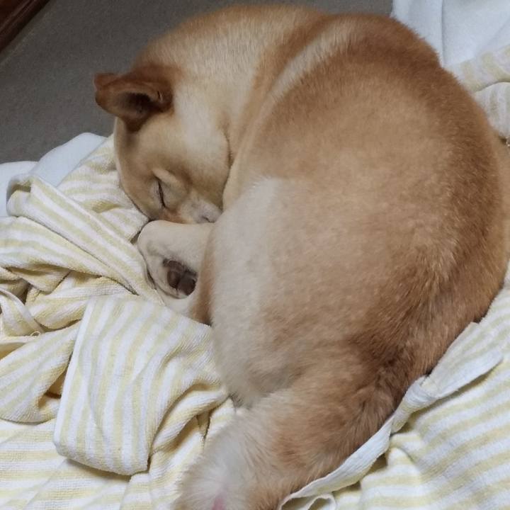 5b70d4ba 21df 4d70 9eaa 0cb8867abffa 1604751834975