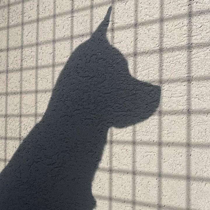 5b713e4f acf0 4551 93bc c2cd24e9014a 1697021082644