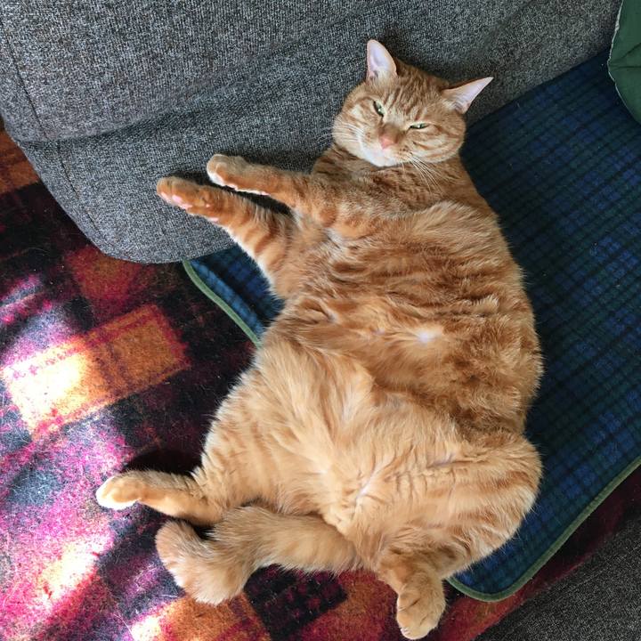 5b716cef 55bf 4bfd 892d 25d4b22c1340 1584841905184