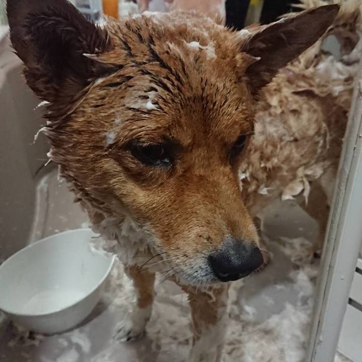 5b717d43 dbb9 40b5 88be cabef85ebc0d 1574486097697