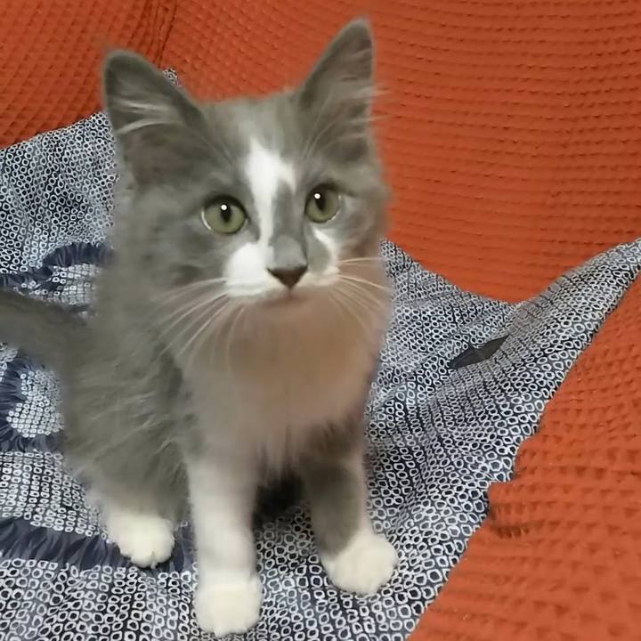 5b719fc8 e45a 4eae 8724 e13ed1b17201 1563156778458