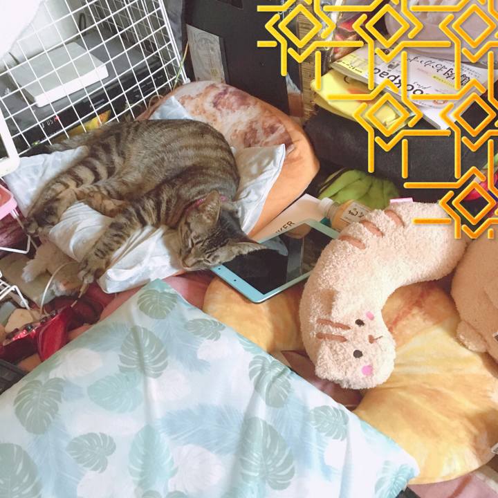 5b71b5cc be89 40c5 be3c 04e47b6b8961 1561526186116