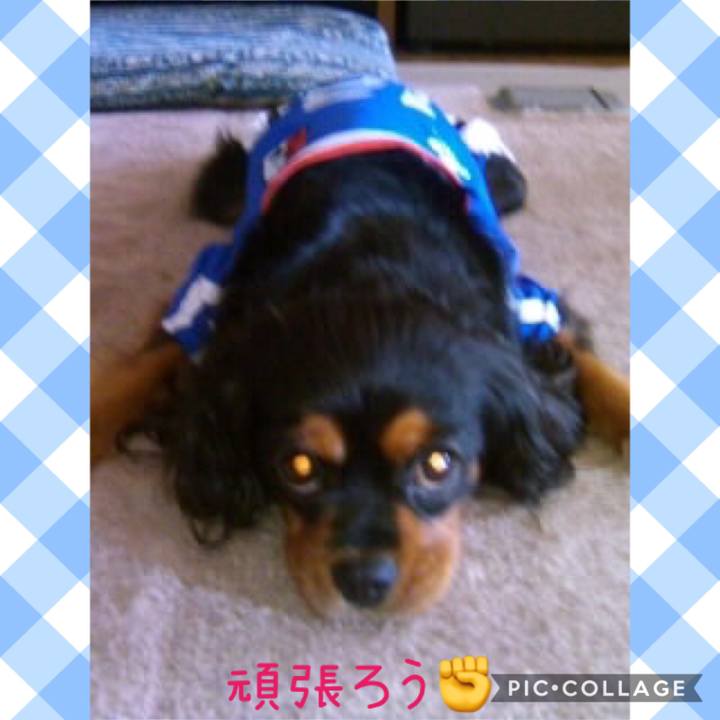 5b71dbb4 ce28 4a03 aa51 28ef3edb443c 1586670345159