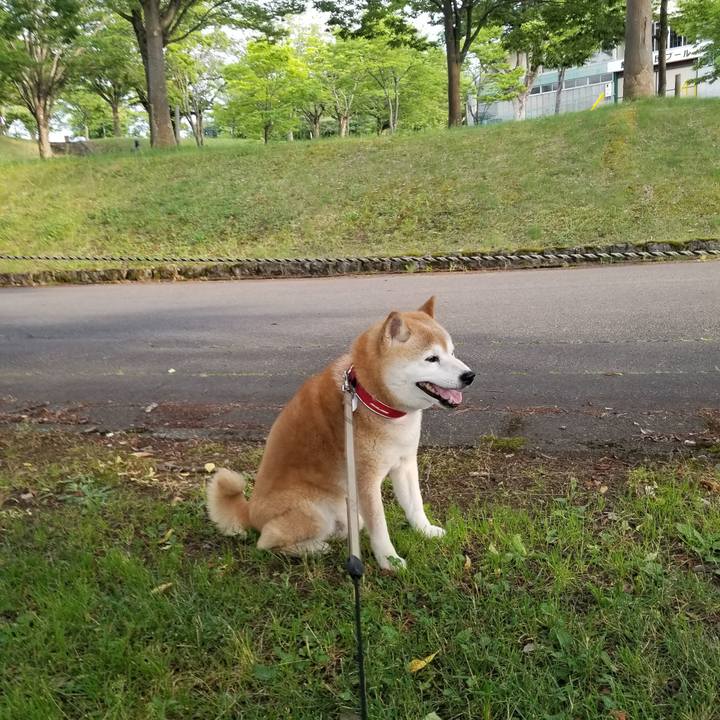 5b71dee1 c515 48fd be4b e05609b6fd26 1718526437110