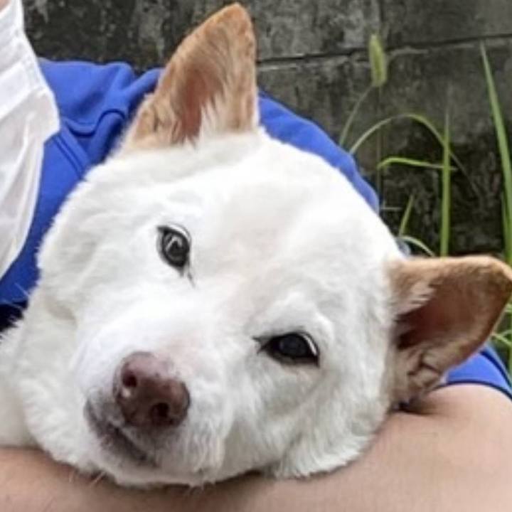 5b71e293 2990 4695 a99b 30e9972d1997 1723211557883