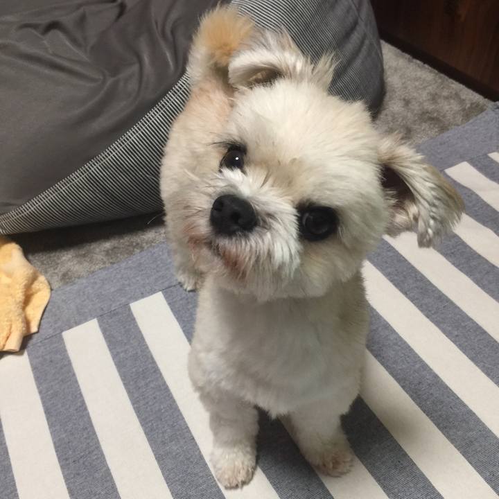 5b71e3eb 4129 4d8b ae05 9c5a7f6b8e1c 1536842910359