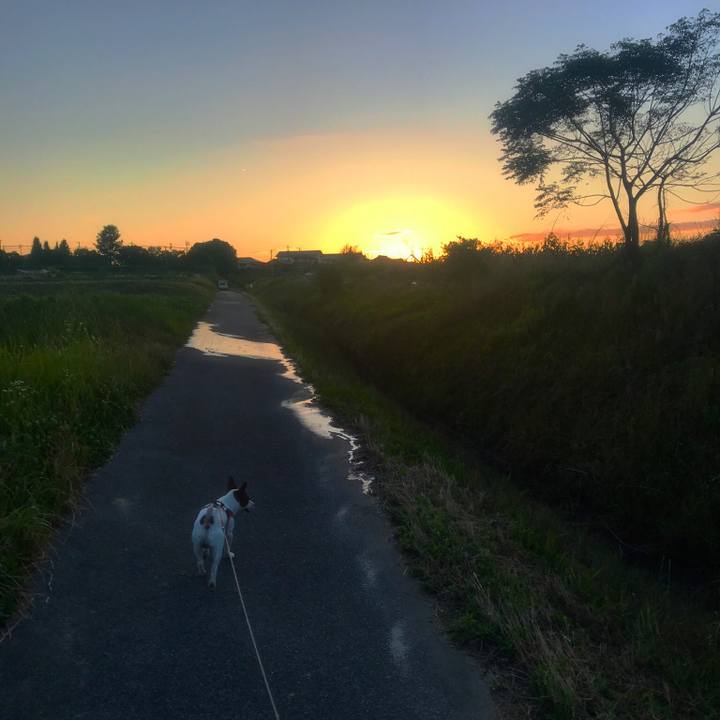 5b723841 63f1 4abe ac4e a83efaab418a 1528911862134