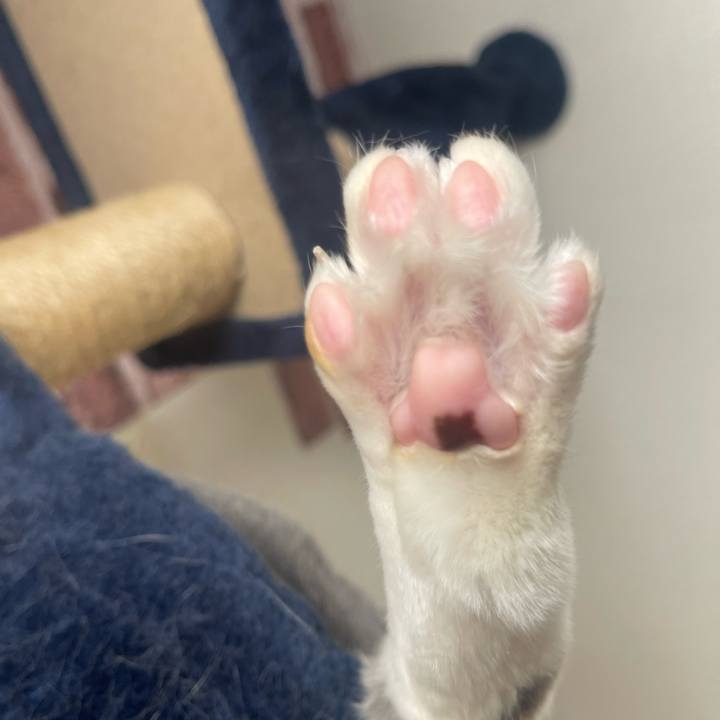 5b7249cd a9ef 45ee 8020 6b2e726f6f91 1677806818981