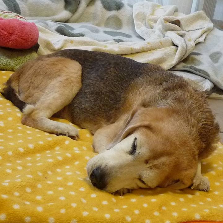 5b72512b 6463 40e8 8374 0cd004061e77 1706924226078