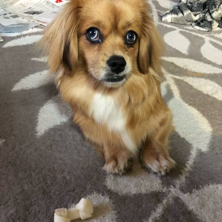 5b725c4c 52be 4168 be9a 3e8a086bdfa4 1524775346101