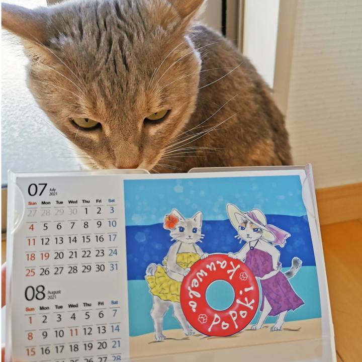 5b7270df 306a 40be b4f7 540ff31a9680 1625110862801