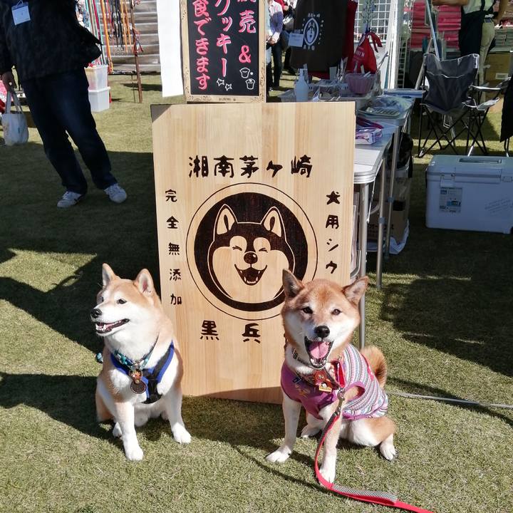 5b728067 9268 4615 937e 93d63efa0f45 1635153344592