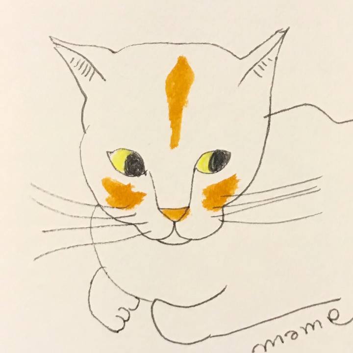 5b7288e9 32d7 40a3 9088 04fd089949b3 1567956104239