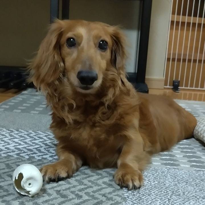 5b72907e a7c9 4ead bece fabf95f76778 1630540169490