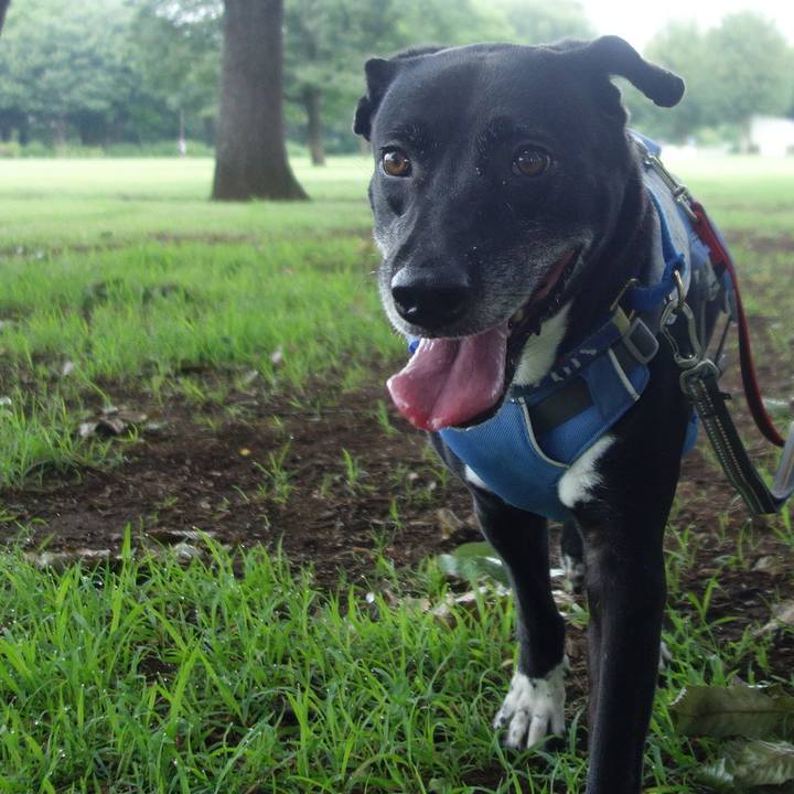 5b72aecf 3f54 4d59 9a5c e7b3ab869955 1692403467272