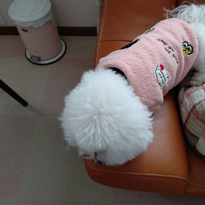 5b72b4ec f7e7 4b45 8f77 f76a10ef41cd 1638687867138