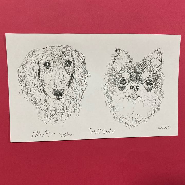 5b72cc07 55c4 409b 80f2 d3e9f5137320 1636977310807