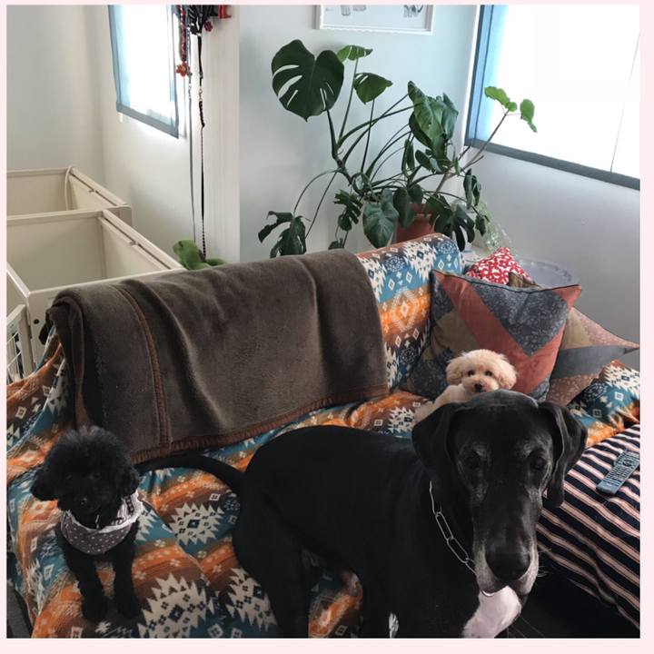 5b72e230 87ff 4083 b0f7 bf33cead739e 1540765862772