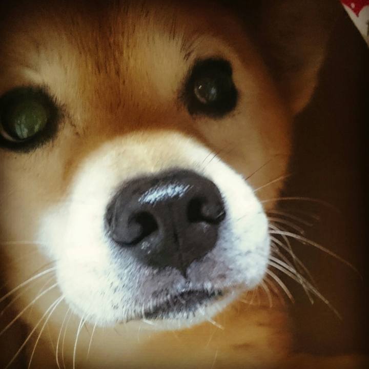 5b72ecc1 0d76 4756 88ec c1a8b3c03e0a 1523534379935