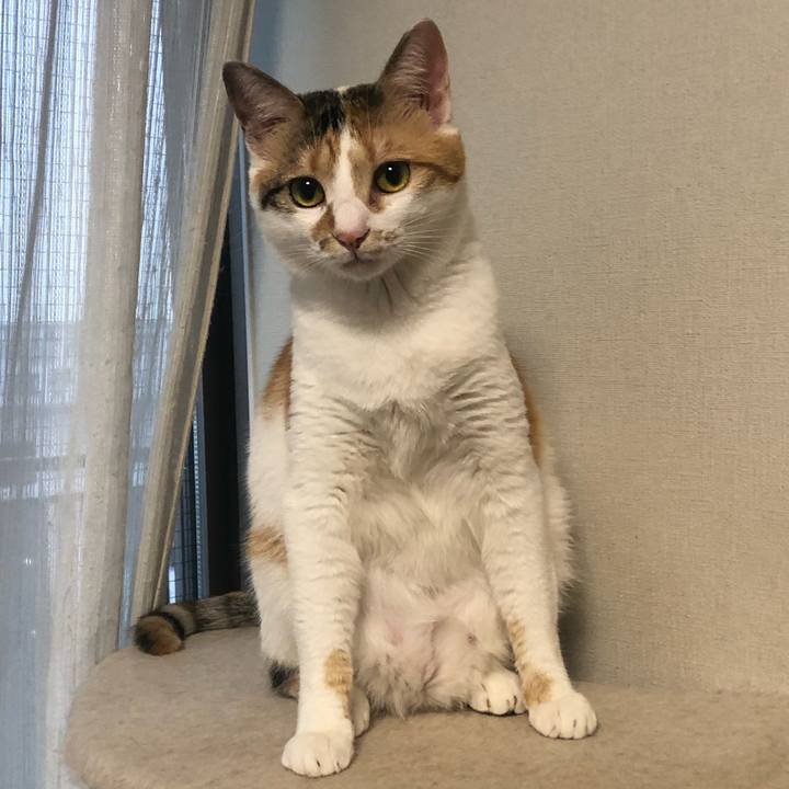 5b72fac7 ac28 4503 8dbc 544e27db9abb 1592832649917