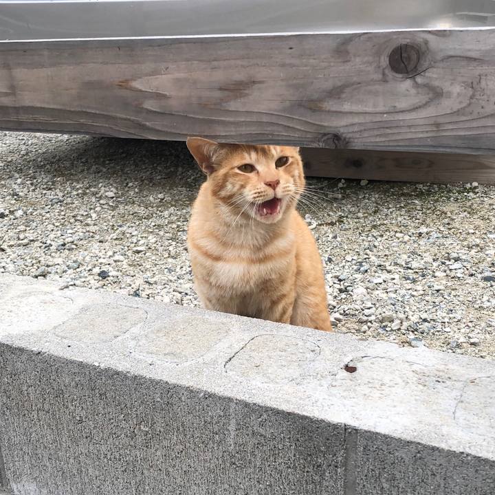 5b730d11 260c 42be af69 c7cb07db7a08 1655615787221