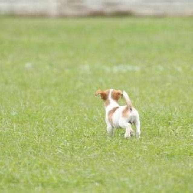 5b7351d1 3728 45e4 9878 73b335b7e4f3 1686996108595