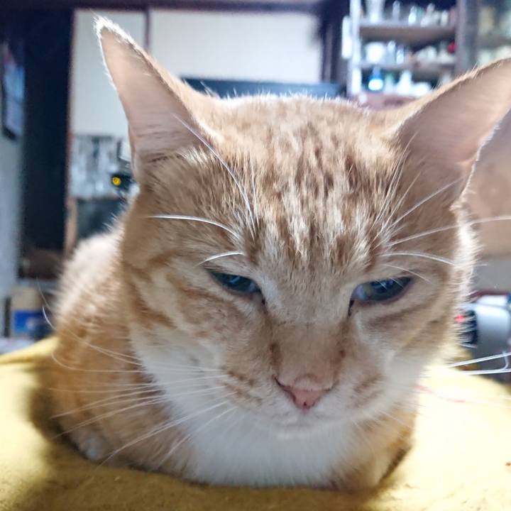 5b7393b3 5eb9 4d07 919c 12737661c24e 1570653449032