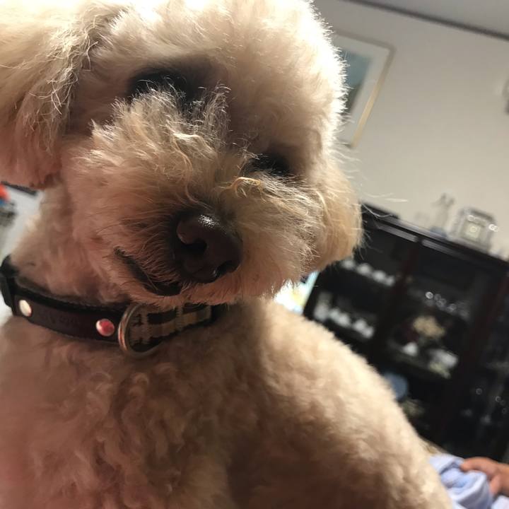 5b73a9f9 9d24 44af 86e0 e3f11b35e18f 1569929147043