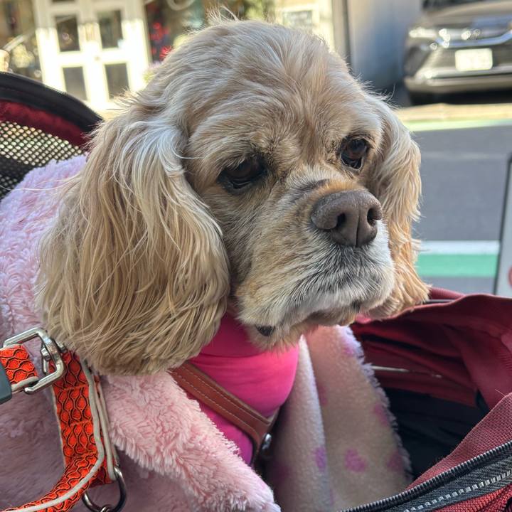 5b73ae56 c4c4 4f1f 8e69 a98d83e4a891 1765521761153