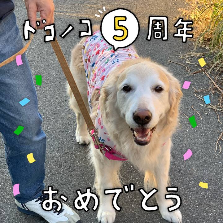 5b73d5f8 3c3e 4194 8d9a 891e1a3dcd1a 1622900630736