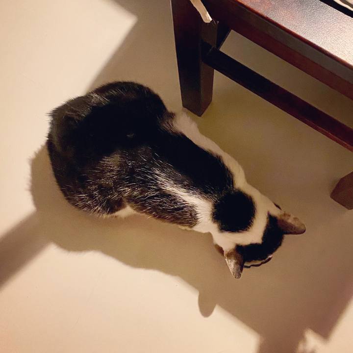 5b73fb26 9c93 43ed 8e98 4def2b814a56 1598451591582