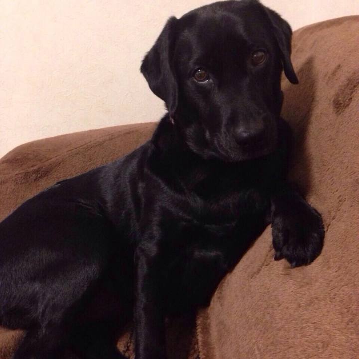 5b7402e0 2b64 45ad a5e7 7d99731b9e27 1743347958955