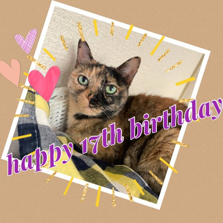 5b7402f4 18fa 4b43 a954 2ace155c30cf 1572620384039