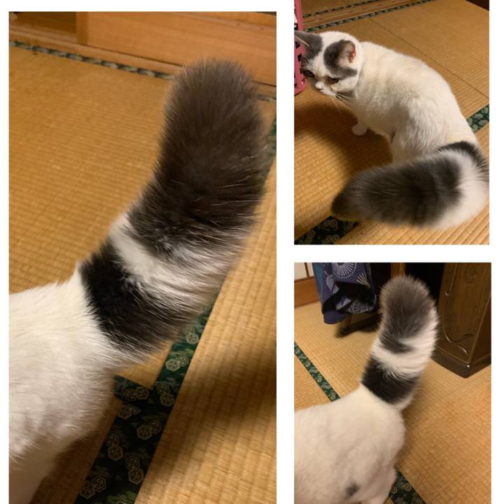 5b74660f 0363 4bc9 92da 8e0105b43bca 1612573315467