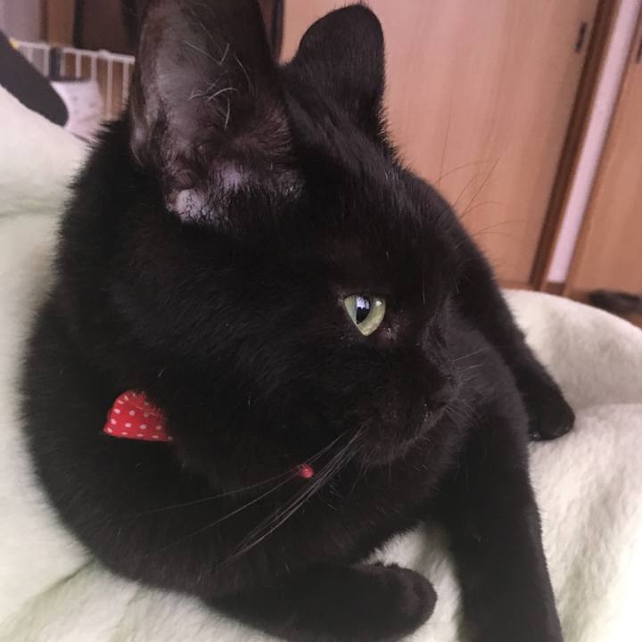 5b747498 3f36 49a5 8f13 30c4cc861370 1534476875601