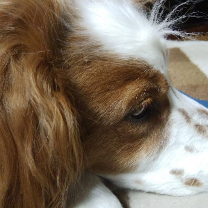 5b748126 afe7 4b8f b178 eee4841eecce 1527595251116