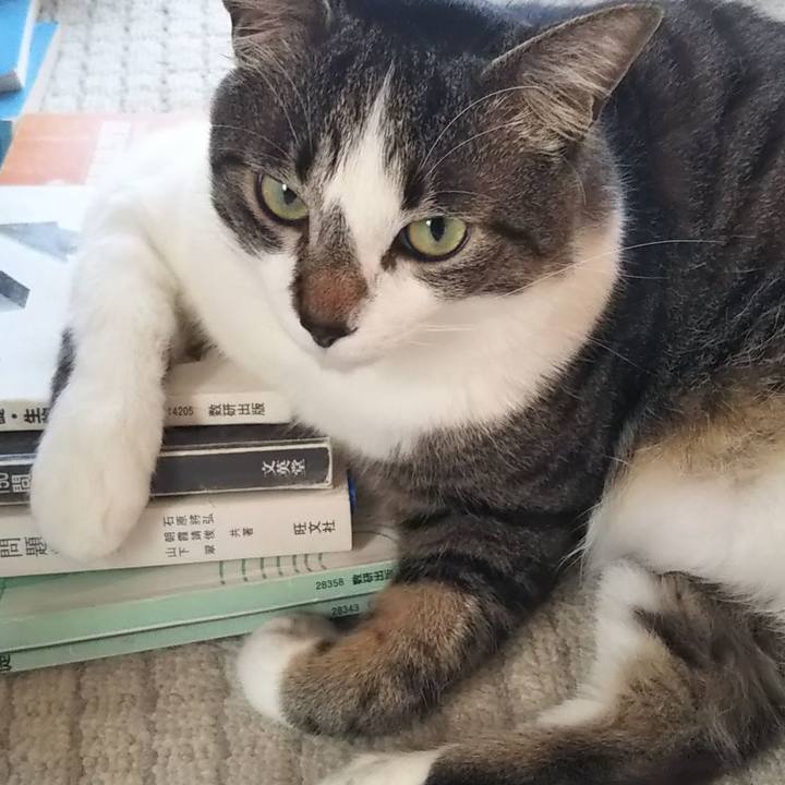 5b74c719 b1fc 4c94 b897 51398d9df3fc 1615547013090